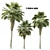 Elegant Trio of Chinese Palms 3D model small image 5