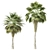 Elegant Trio of Chinese Palms 3D model small image 6