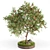 Apple Tree Garden: High-quality 3D Outdoor Plant Set 3D model small image 1