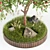 Apple Tree Garden: High-quality 3D Outdoor Plant Set 3D model small image 2