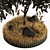 Apple Tree Garden: High-quality 3D Outdoor Plant Set 3D model small image 4