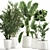 Exotic Plant Collection in White Planters 3D model small image 1