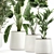 Exotic Plant Collection in White Planters 3D model small image 2