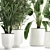 Exotic Plant Collection in White Planters 3D model small image 4
