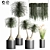 Indoor Plant Collection - Set of 12 3D model small image 6