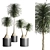 Indoor Plant Collection - Set of 12 3D model small image 7