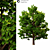14m Exterior Landscape Tree 3D model small image 1