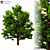 14m Exterior Landscape Tree 3D model small image 2