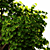 14m Exterior Landscape Tree 3D model small image 3