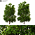 Exterior Landscape Tree - 17m Height 3D model small image 2