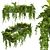 Hanging Indoor Ampelous Collection Plant 3D model small image 1