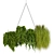 Hanging Indoor Plant Collection Vol. 282 3D model small image 2