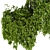 Hanging Indoor Plant Collection Vol. 282 3D model small image 3