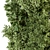 Green Wall 40 - Outdoor Vertical Garden 3D model small image 5