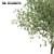 Persian Ironwood Tree (2-Pack) 3D model small image 3