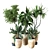 Modern Indoor Plant Vol 26 3D model small image 1