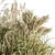 Pampas Bush Set 54: Dried & Fresh 3D model small image 2