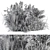 Pampas Bush Set 54: Dried & Fresh 3D model small image 4