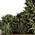 Evergreen Garden Set: Pine Tree & Bush 3D model small image 2