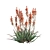 Blue Elf Aloes: Stunning 3D Model 3D model small image 4