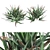 Blue Elf Aloes: Stunning 3D Model 3D model small image 6