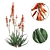 Blue Elf Aloes: Stunning 3D Model 3D model small image 8