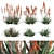 Blue Elf Aloes: Stunning 3D Model 3D model small image 9