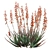 Blue Elf Aloes: Stunning 3D Model 3D model small image 10