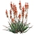 Blue Elf Aloes: Stunning 3D Model 3D model small image 12