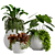 Tropical Plant Vase Set 3D model small image 5