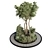 Outdoor Circle Garden Pot for 72 Palm Trees, Bushes, Ferns, and Grass 3D model small image 1