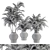 Tropical Oasis: Outdoor Plant Set 3D model small image 4