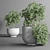 Indoor Plant Collection 13: Elegant Greenery for your Home 3D model small image 4