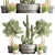 Modern Indoor Plant Set 3D model small image 1