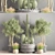 Modern Indoor Plant Set 3D model small image 2