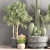 Modern Indoor Plant Set 3D model small image 3