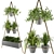 Green Oasis Indoor Plants Set 3D model small image 2