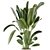 Ferm Living Bau Pot Large - Set 378: Stylish Indoor Plants 3D model small image 4