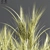 Wheat Fields 3D Model 3D model small image 3
