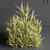 Wheat Fields 3D Model 3D model small image 4