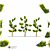 2014 Landscape Tree | 3m Height | 2,266,210 Polys | Corona Render 3D model small image 2