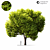 2014 Landscape Tree 18м 3D model small image 1