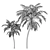 Tropical Paradise: Palm Wallpaper 3D model small image 3