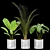 Green Oasis Indoor Plant Set 3D model small image 2