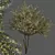 Everlasting Olive Tree 3D model small image 1