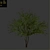 Everlasting Olive Tree 3D model small image 4