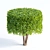  Versatile Bush Collection | Vol 61 3D model small image 3