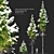 Winter Abies Guatemalensis: 3D Models 3D model small image 1