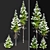 Winter Abies Guatemalensis: 3D Models 3D model small image 2