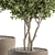 Concrete Pot Outdoor Plant Set 3D model small image 2